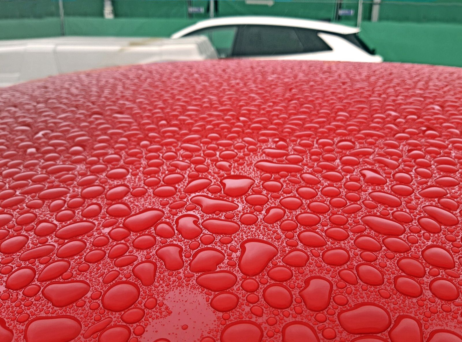 Water beading on the glossy, freshly polished red paint of a car roof