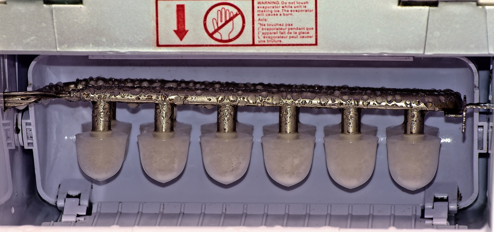 Bullet-shaped ice forming on the cold prongs inside a countertop ice maker