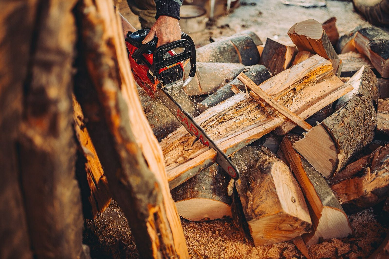 A chainsaw cutting through a pile of firewood logs