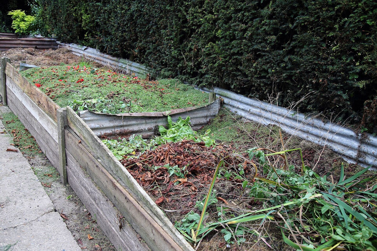 Open wooden compost bays filled with garden waste beside a hedge