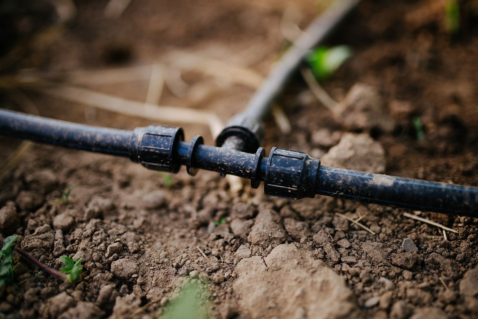 Close-up of drip irrigation tubing and connectors running across garden soil