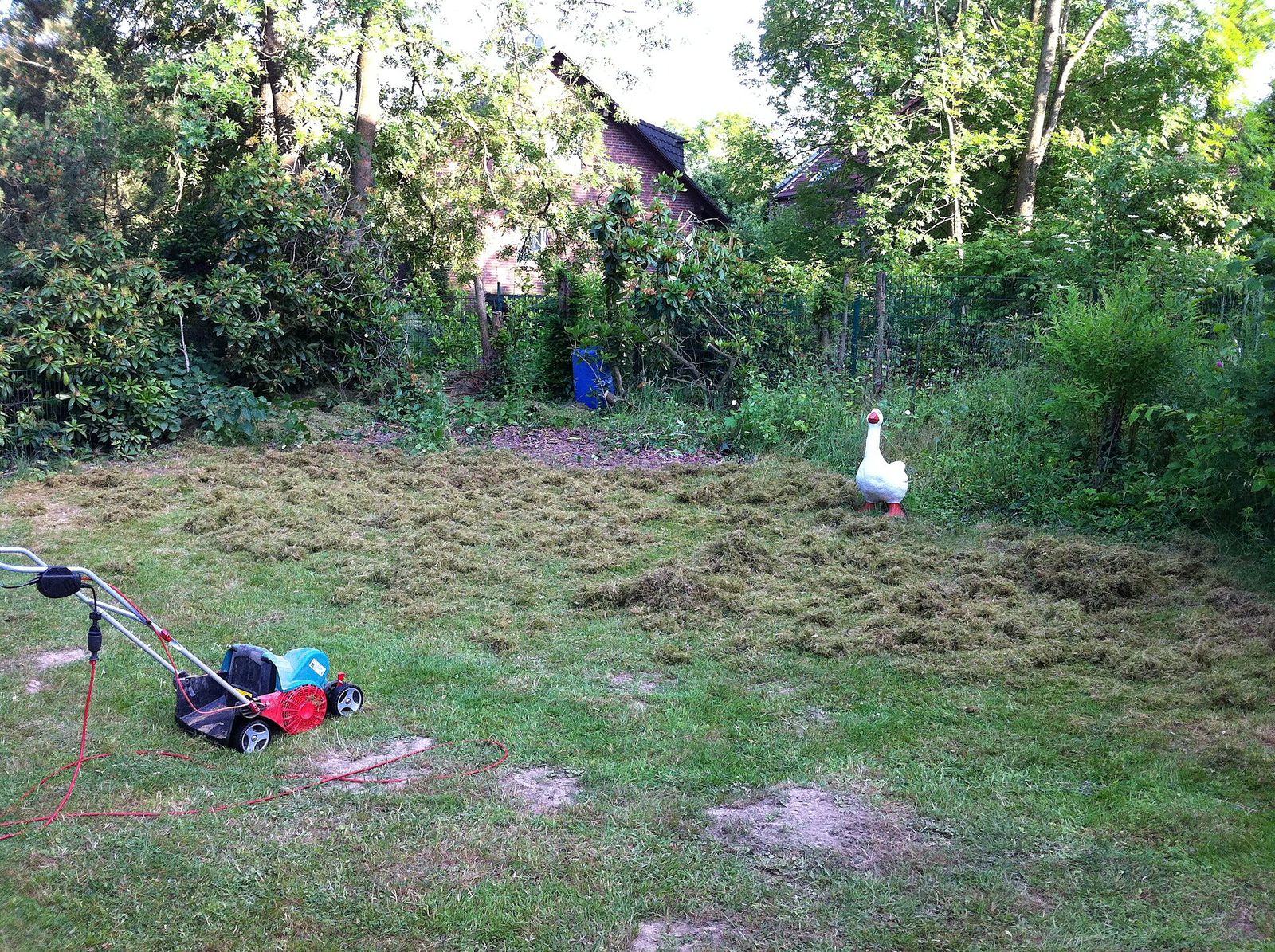 An electric scarifier on a garden lawn beside piles of raked-out thatch and moss