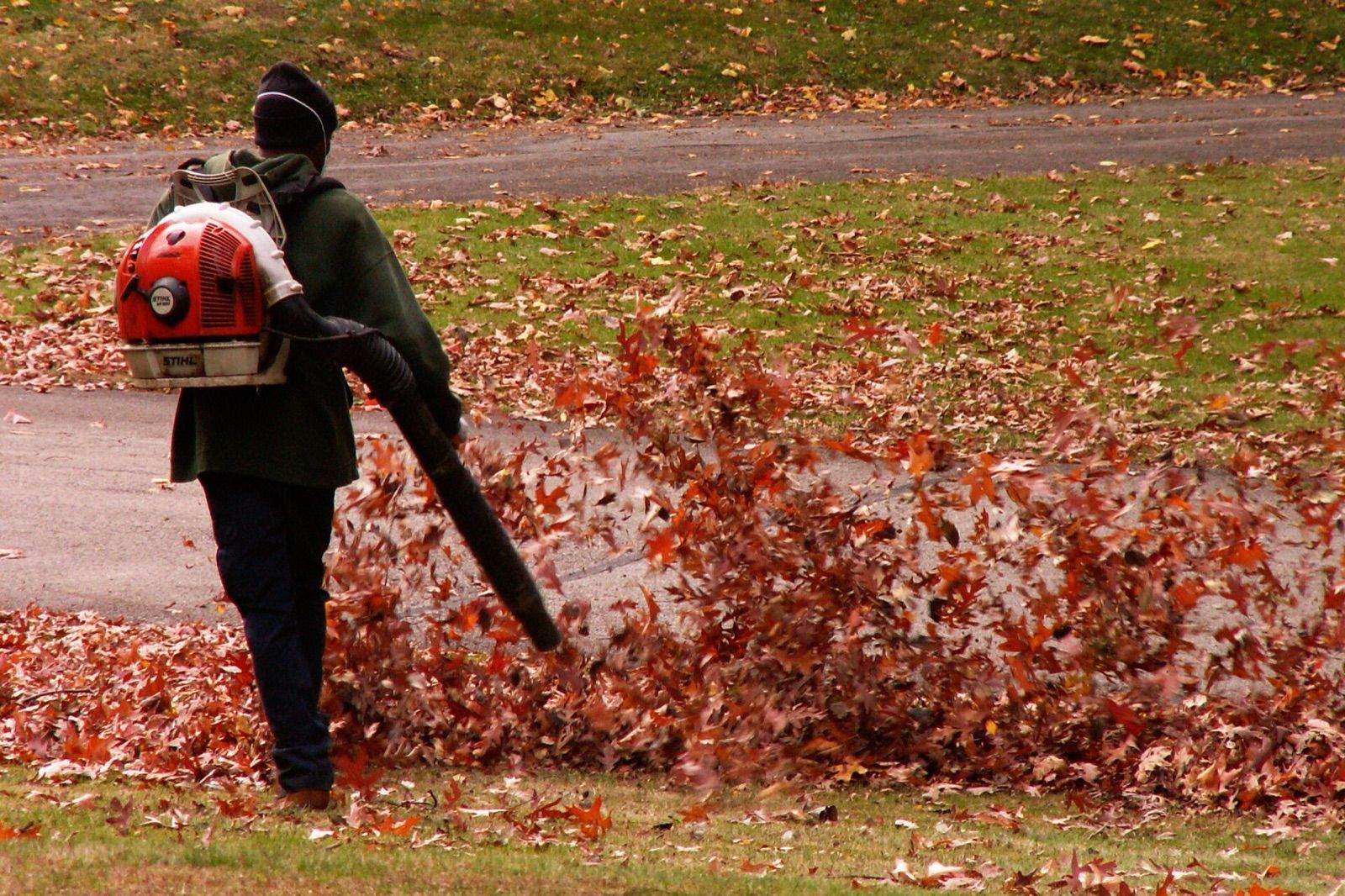 A worker using a backpack leaf blower to move autumn leaves across a lawn