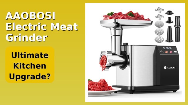 AAOBOSI MG102A stainless steel electric meat grinder