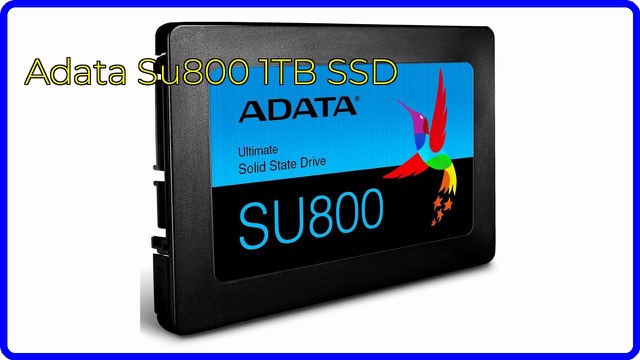 ADATA SU800 1TB 2.5-inch SATA solid state drive
