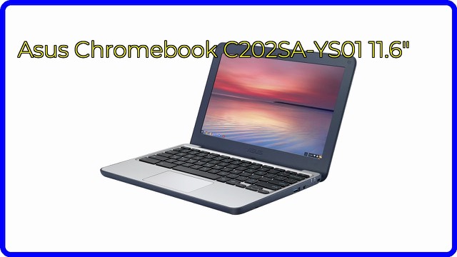 ASUS Chromebook C202SA-YS01 in dark blue with rubber guards