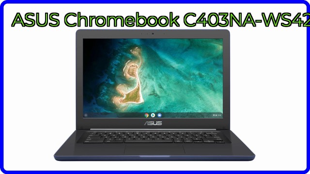 ASUS Chromebook C403 rugged 14-inch laptop in dark blue