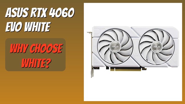 White ASUS Dual GeForce RTX 4060 EVO graphics card