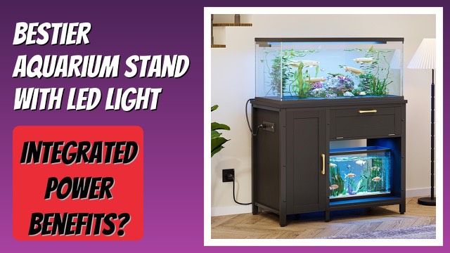 Black Bestier aquarium stand with cabinets, open bay and RGB light bar
