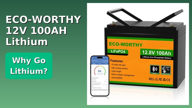 ECO-WORTHY 12V 100Ah Group 24 LiFePO4 lithium battery