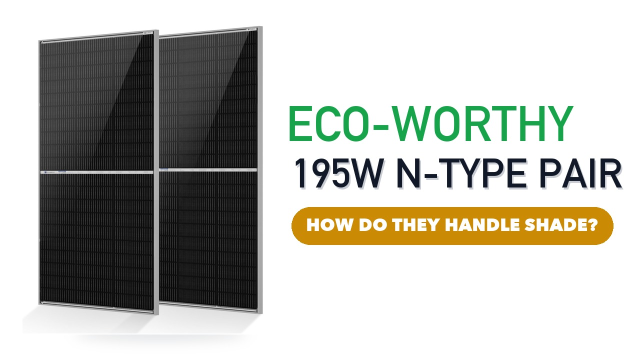 Two ECO-WORTHY 195W bifacial solar panels side by side on a white background