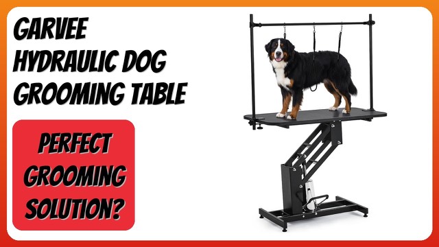 Garvee black hydraulic dog grooming table with non-slip top and arm