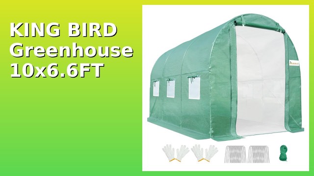 KING BIRD walk-in tunnel greenhouse with green cover and steel frame