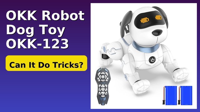 OKK K6 remote control robot dog toy with remote