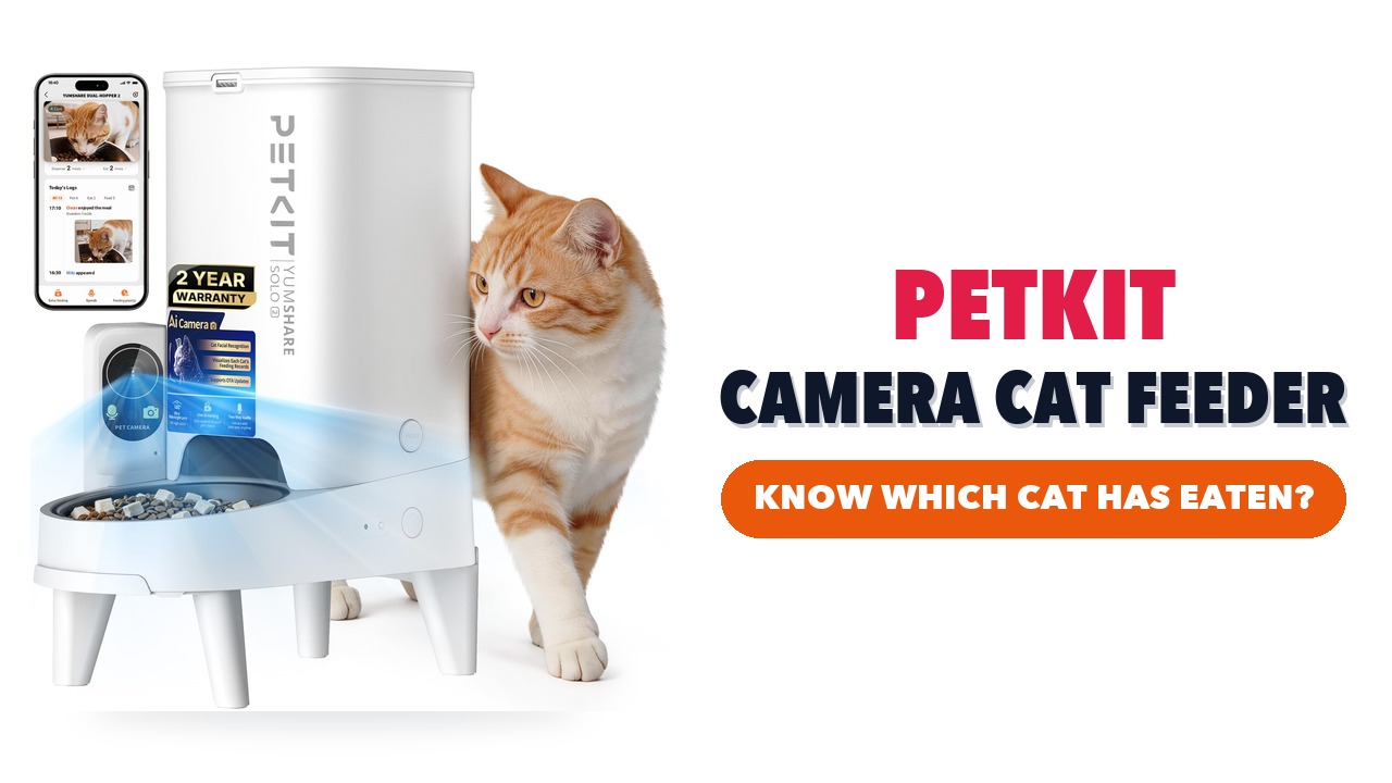 White PETKIT automatic cat feeder with a front camera, elevated bowl and a cat beside it
