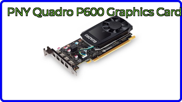 PNY NVIDIA Quadro P600 low-profile workstation graphics card