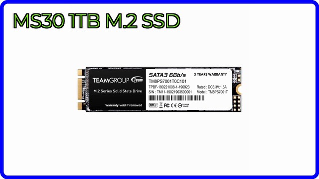 TEAMGROUP MS30 1TB M.2 2280 SATA solid state drive