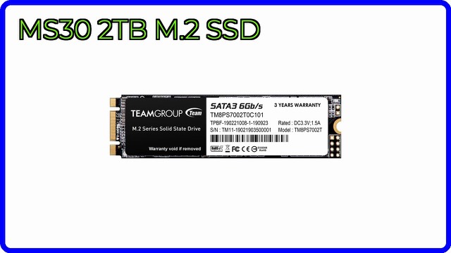 TEAMGROUP MS30 M.2 2280 SATA solid state drive