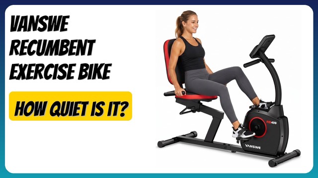 VANSWE RB2518 recumbent exercise bike with padded seat and backrest
