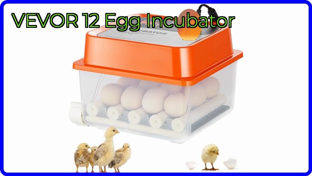 VEVOR 12 egg incubator with transparent cover and digital display