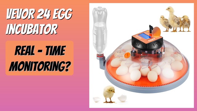 VEVOR N-24 transparent 24 egg incubator with digital display