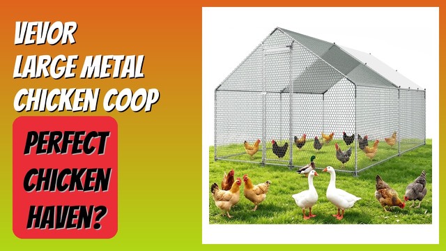 VEVOR large walk-in metal chicken coop with a waterproof cover on a lawn