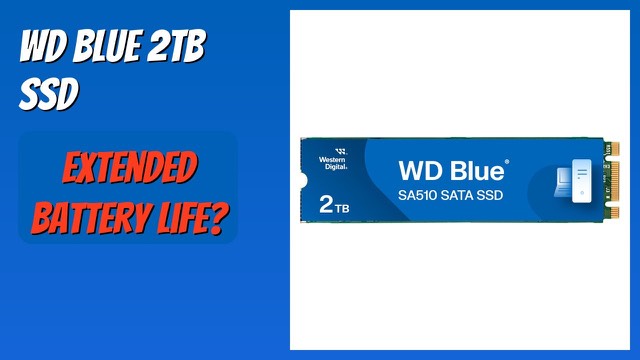 Western Digital WD Blue SA510 M.2 2280 solid state drive