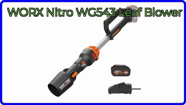 WORX Nitro WG543 cordless leaf blower with battery