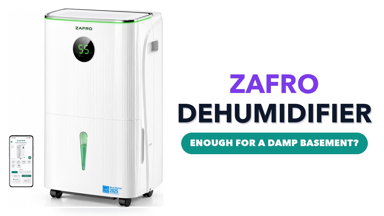 White ZAFRO dehumidifier with a round humidity display and green light strip, beside a phone showing its app