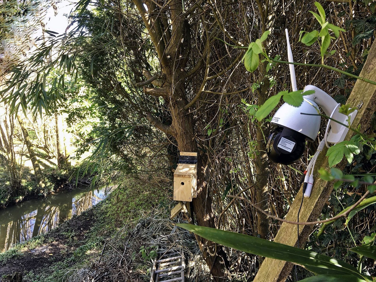 A wireless outdoor security camera with an antenna mounted on a post in a garden