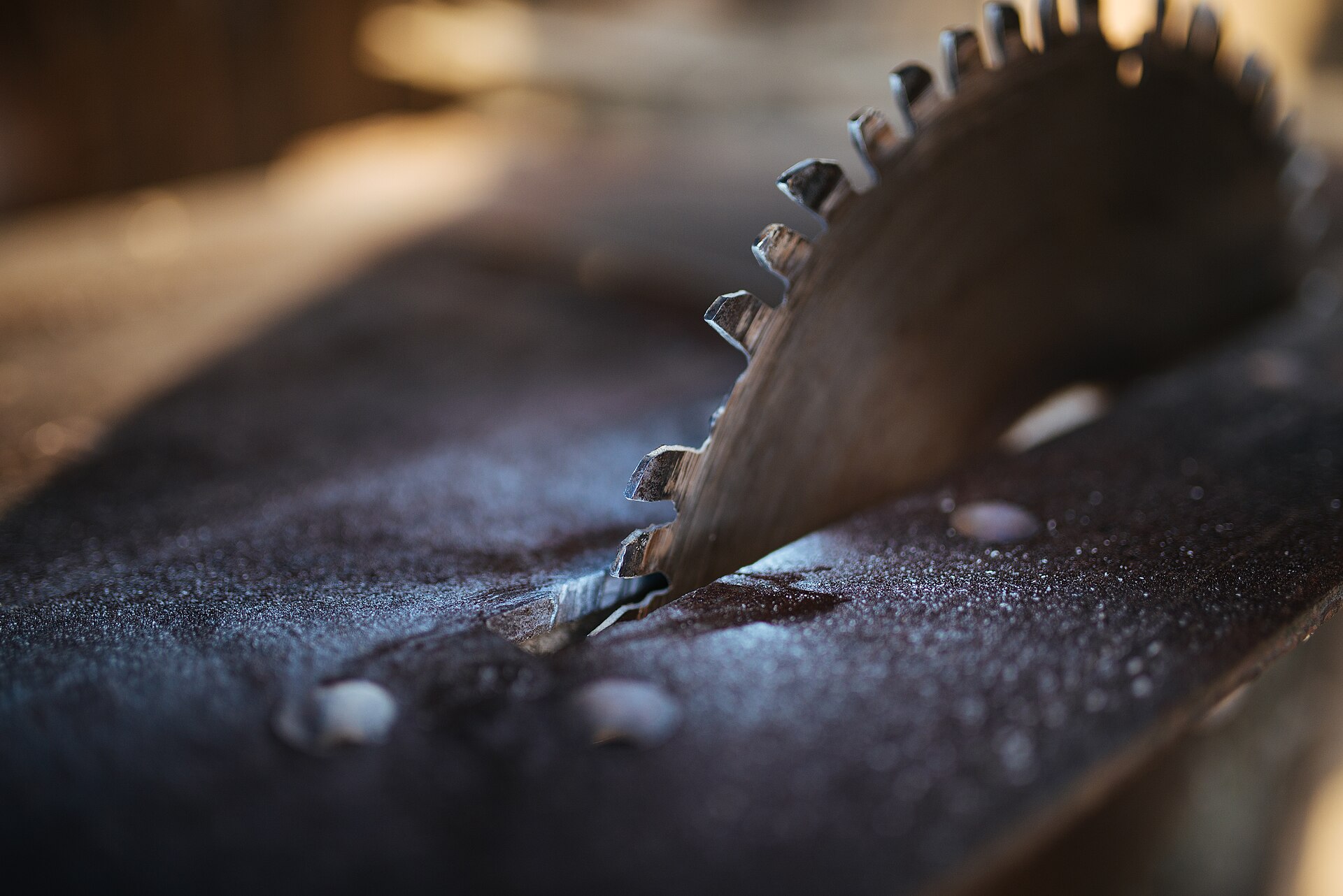 A circular saw blade cutting through a wooden board in a workshop