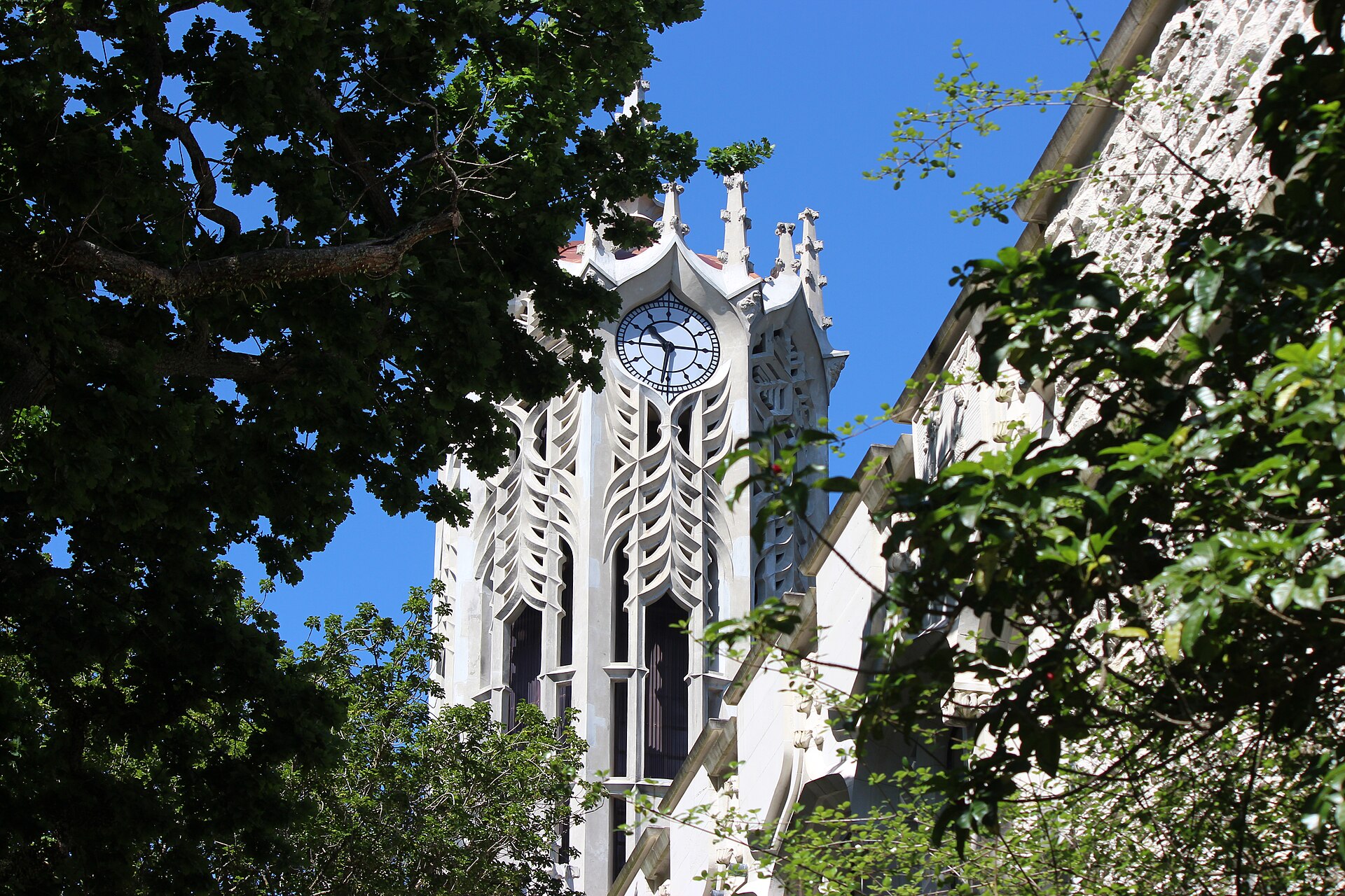 The white stone ClockTower of the University of Auckland seen through trees
