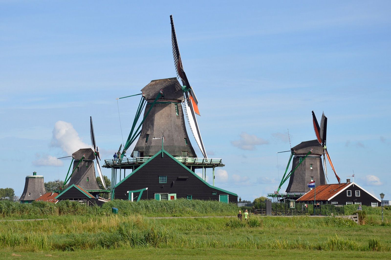 Historic wooden windmills and green houses at Zaanse Schans beside open meadow