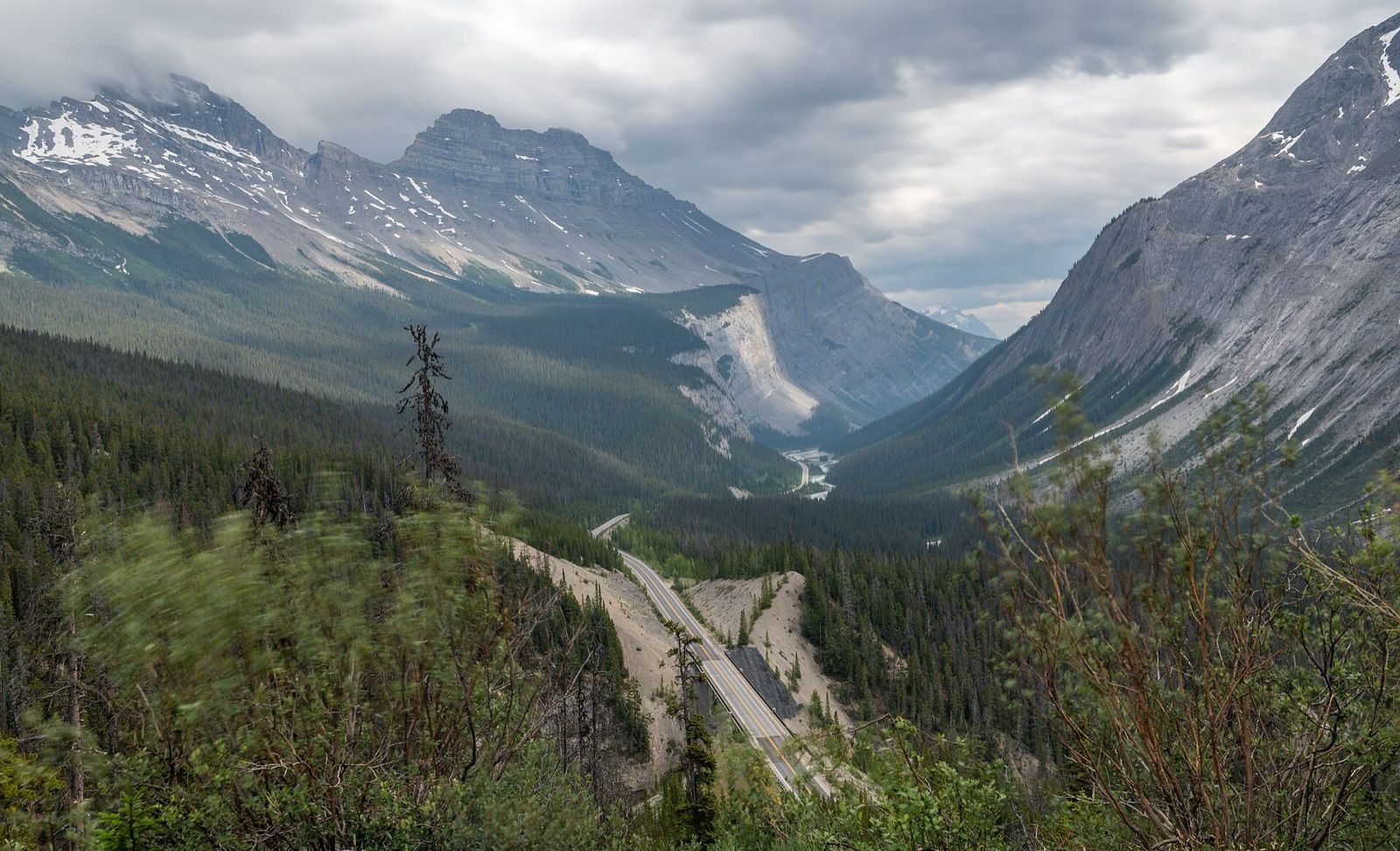 The Icefields Parkway winding through a forested valley between rocky mountains