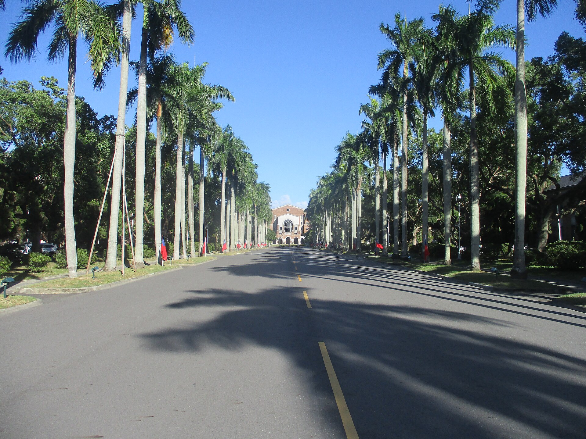 Royal Palm Boulevard at National Taiwan University in Taipei, lined with tall palms and leading to the main library
