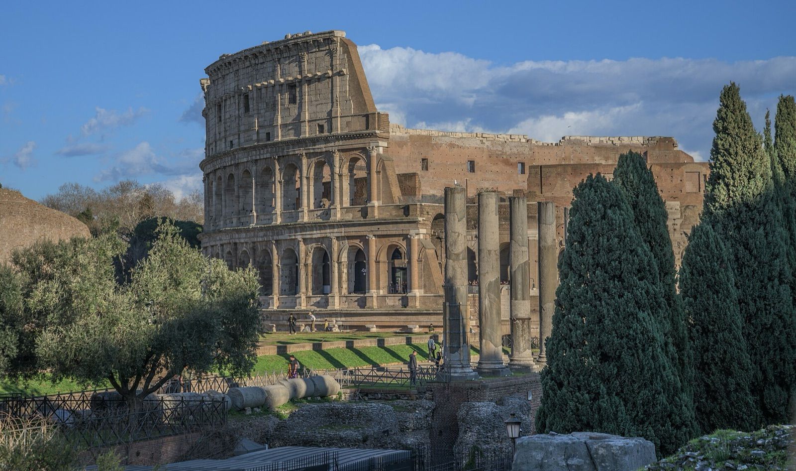 The Colosseum rising behind the columns and cypress trees of the Roman Forum