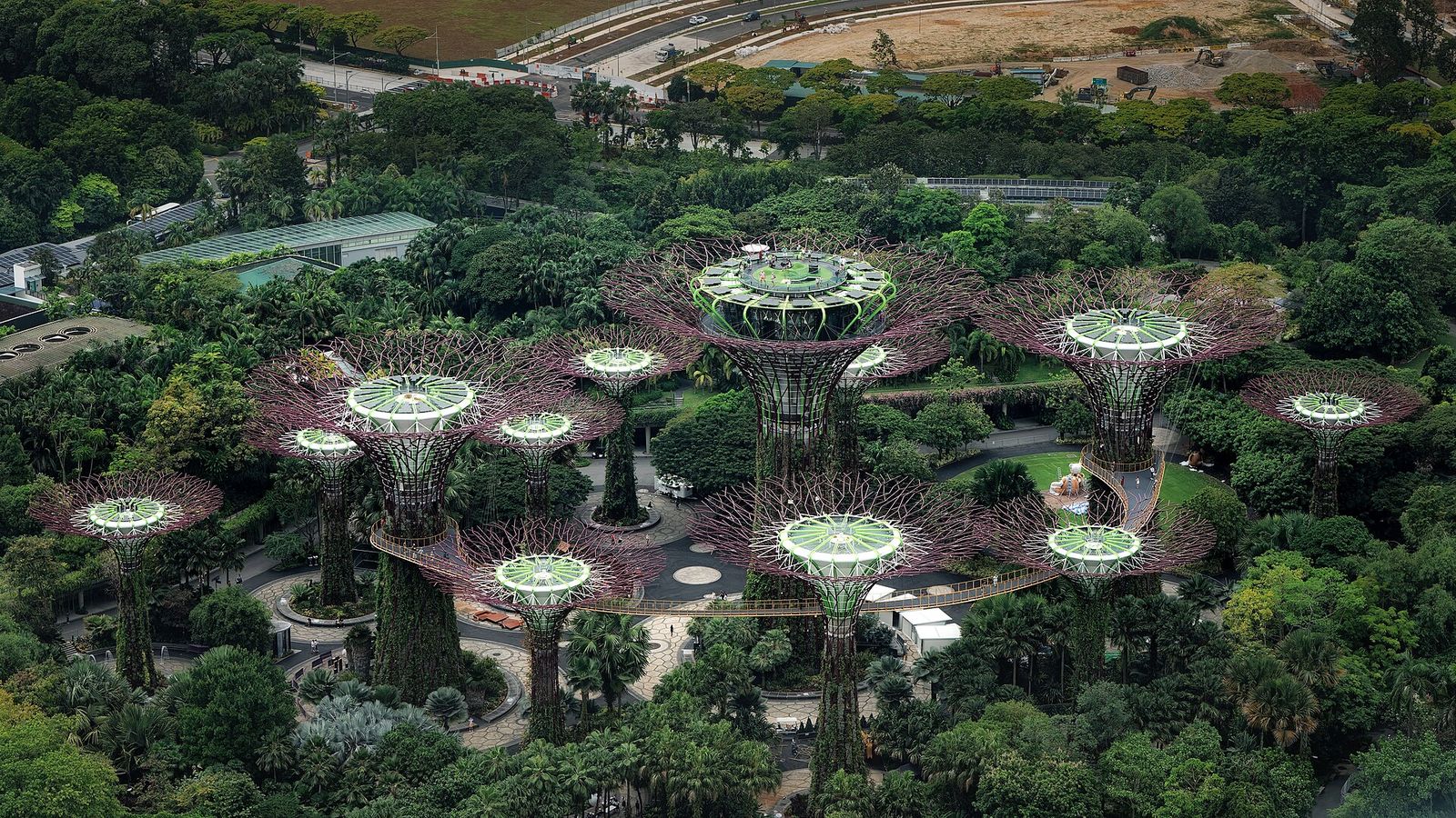 The Supertree Grove at Gardens by the Bay seen from above, with its elevated walkway among tropical trees