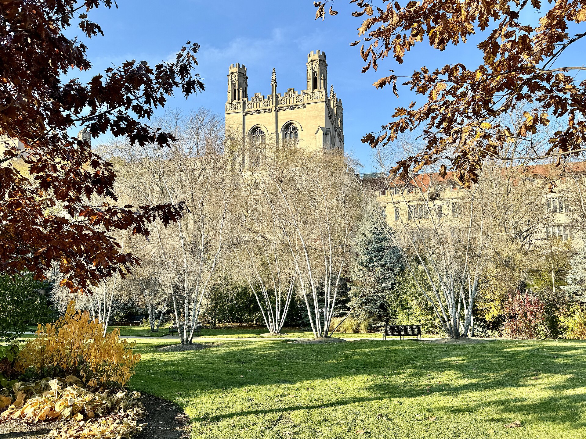 The Gothic limestone towers of Harper Memorial Library at the University of Chicago