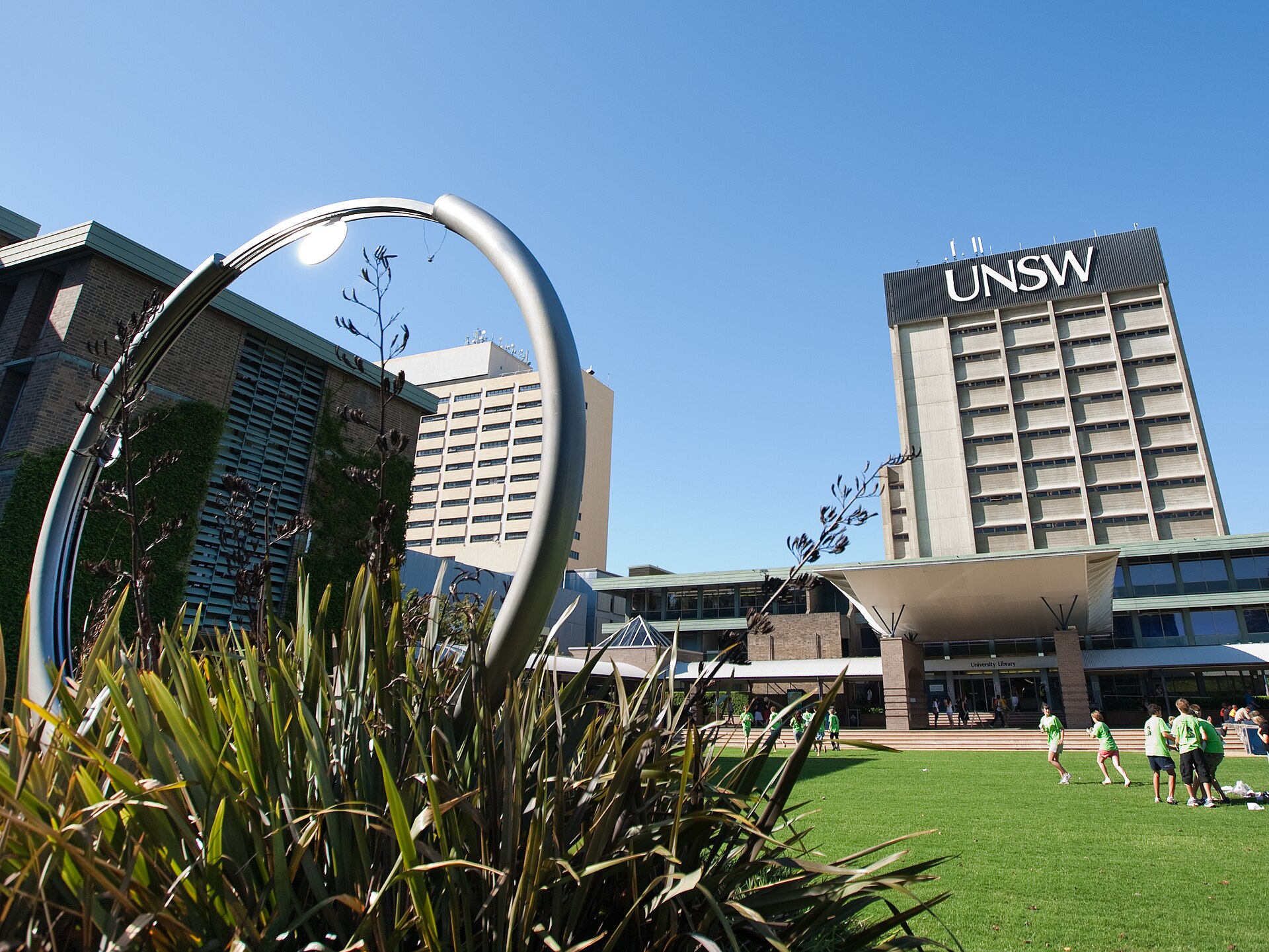 The Library Lawn at the top of the UNSW Sydney campus in Kensington