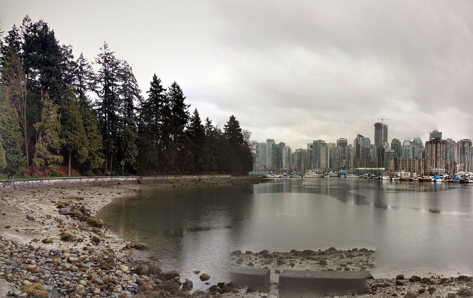 The Stanley Park seawall and forest with the towers of downtown Vancouver across Coal Harbour