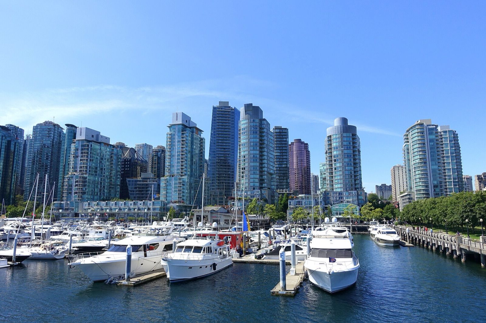 Boats in a Coal Harbour marina below the glass towers of downtown Vancouver